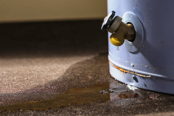Best Water damage restoration specialists  in Burwell, NE