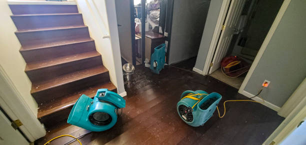 Water damage restoration mold remediation in Burwell, NE