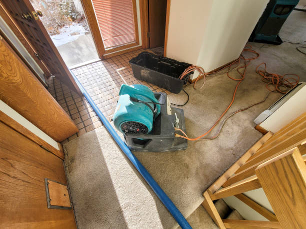 Best Residential water damage restoration  in Burwell, NE