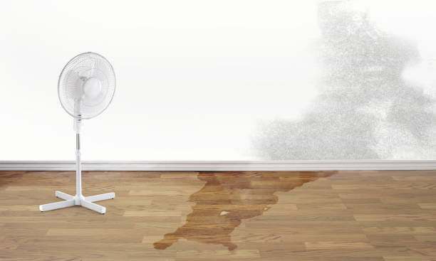 Best Flood restoration services  in Burwell, NE