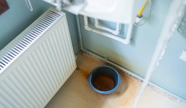Best Water damage mitigation services  in Burwell, NE