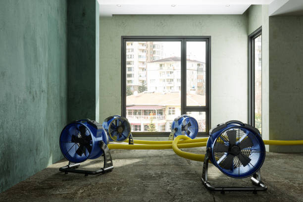 Best 24-hour water damage restoration  in Burwell, NE